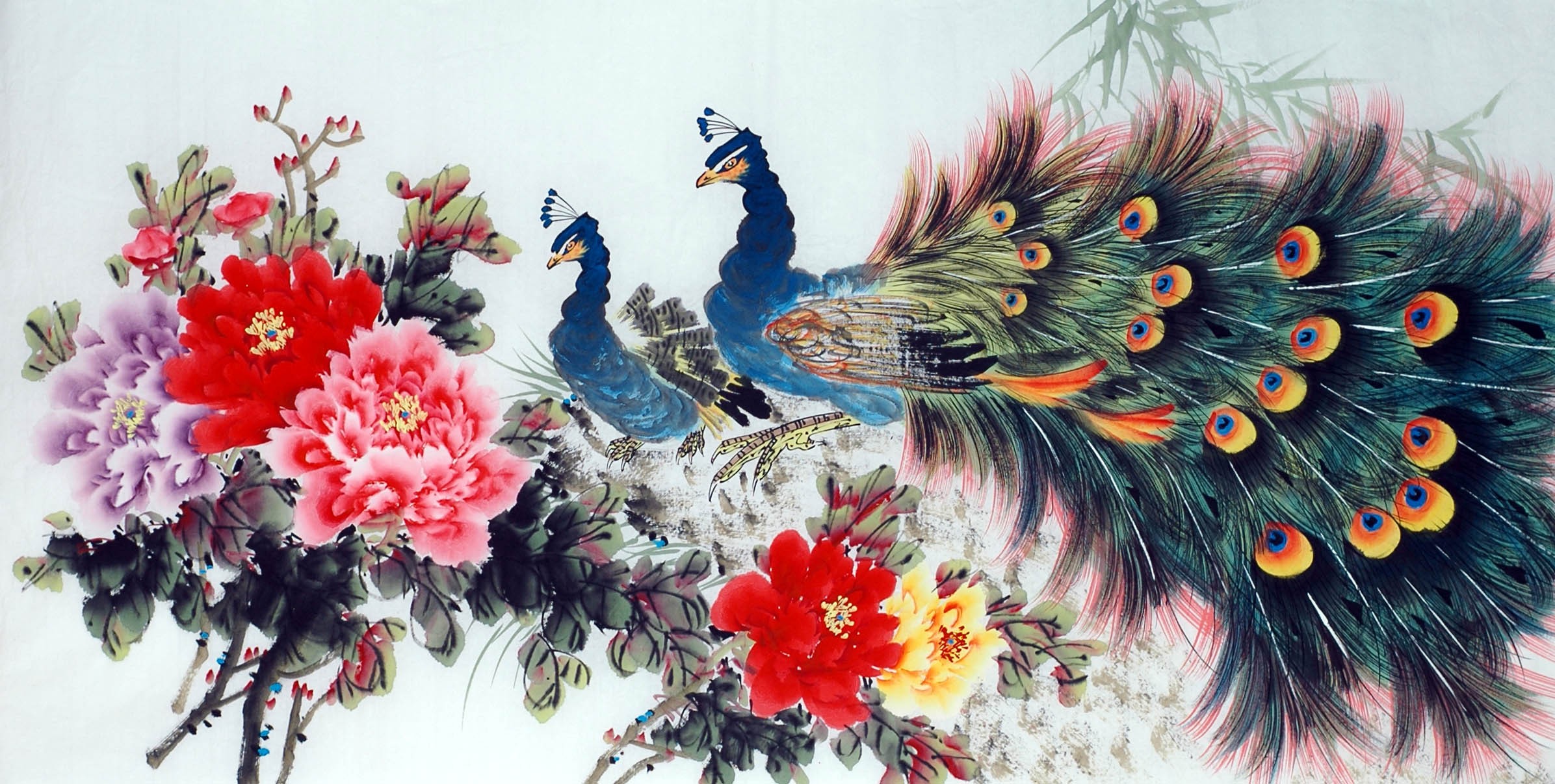 Chinese Peacock Painting - CNAG013354