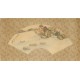 Other Landscape - CNAG001333