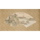 Other Landscape - CNAG001338
