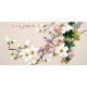Chinese Flowers&Trees Painting - CNAG013503