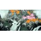 Chinese Lotus Painting - CNAG013517