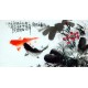 Chinese Fish Painting - CNAG013571