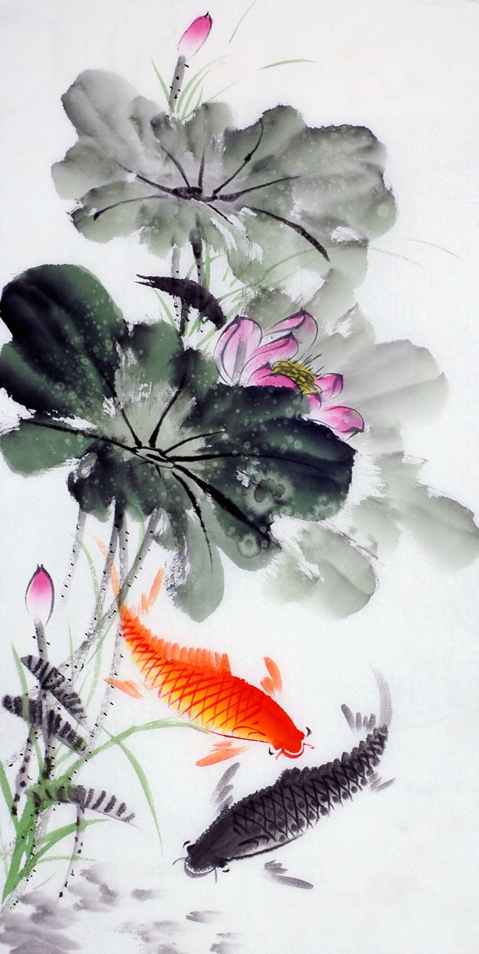 Chinese Fish Painting - CNAG013608