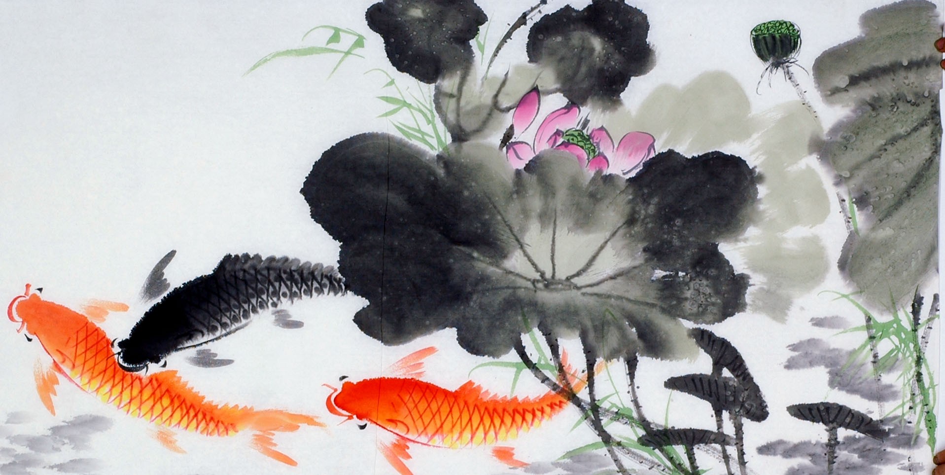 Chinese Fish Painting - CNAG013609