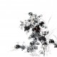 Chinese Flowers&Trees Painting - CNAG013672