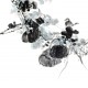 Chinese Flowers&Trees Painting - CNAG013757