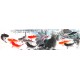 Chinese Fish Painting - CNAG013849