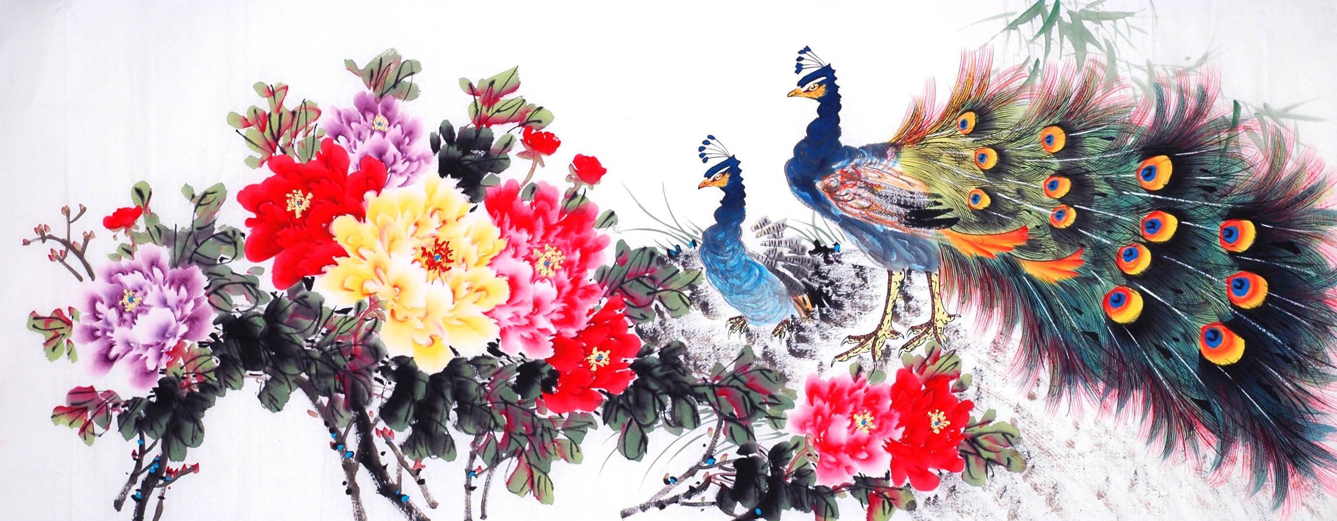 Chinese Peacock Painting - CNAG013891