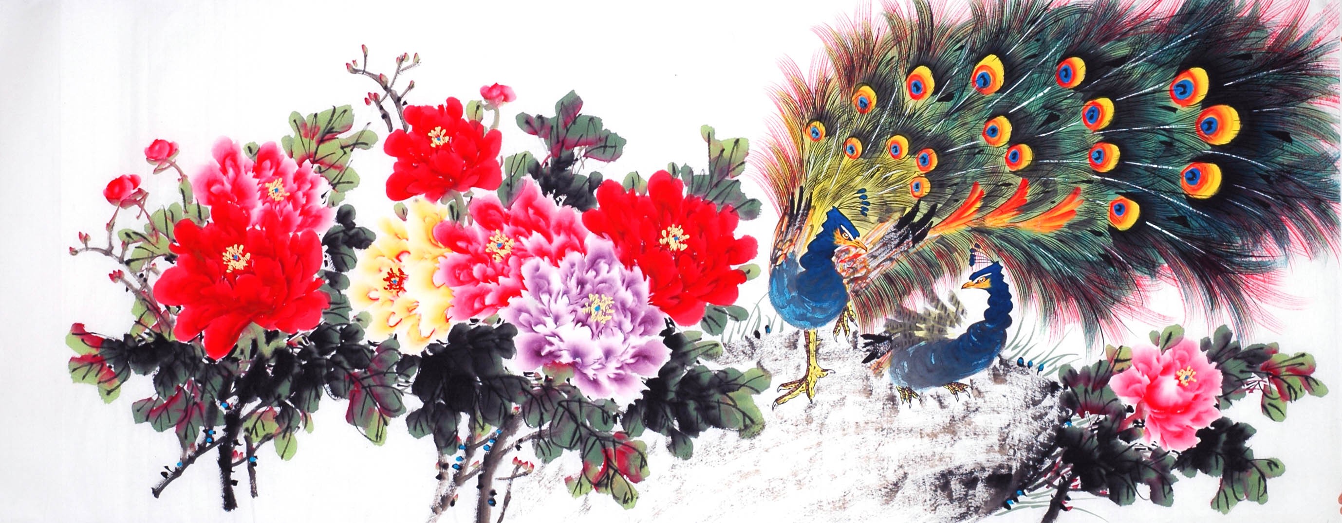 Chinese Peacock Painting - CNAG013922