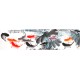Chinese Fish Painting - CNAG013926