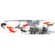 Chinese Fish Painting - CNAG013929