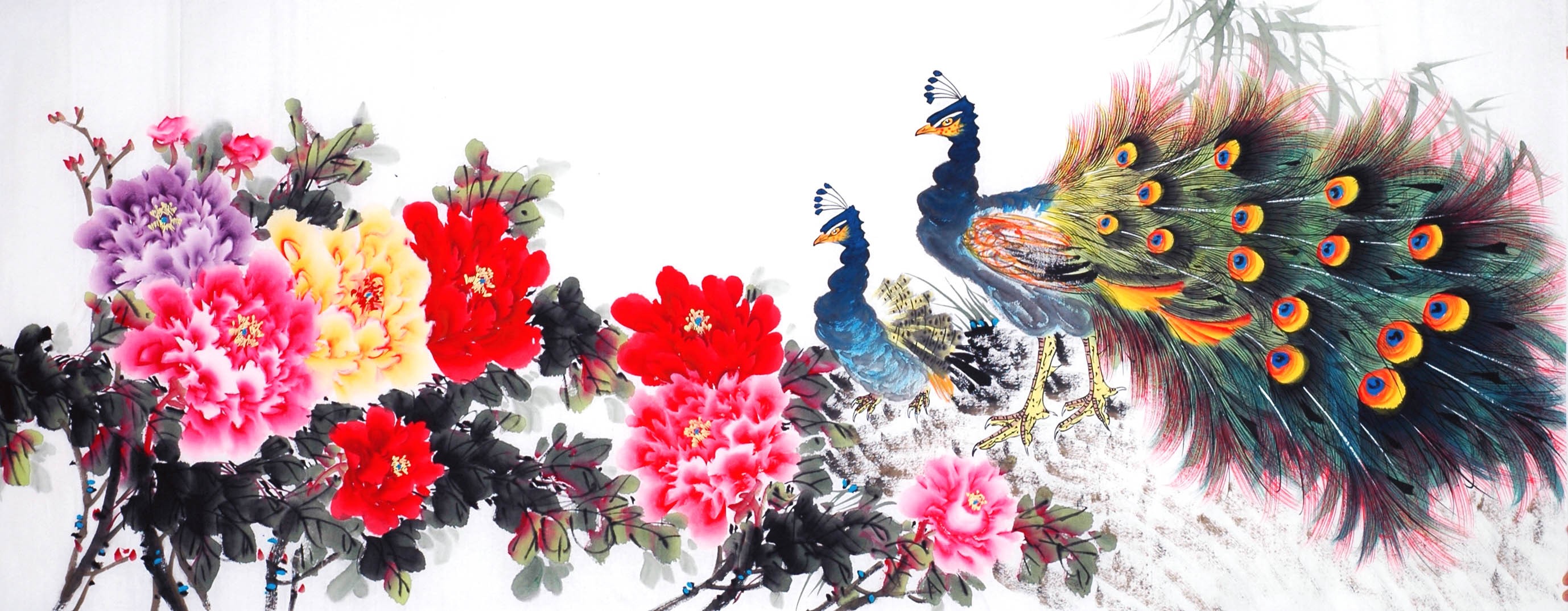 Chinese Peacock Painting - CNAG013943