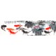 Chinese Fish Painting - CNAG013950