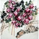 Chinese Grapes Painting - CNAG014289