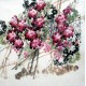 Chinese Grapes Painting - CNAG014290