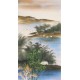 Aquarene - CNAG000145