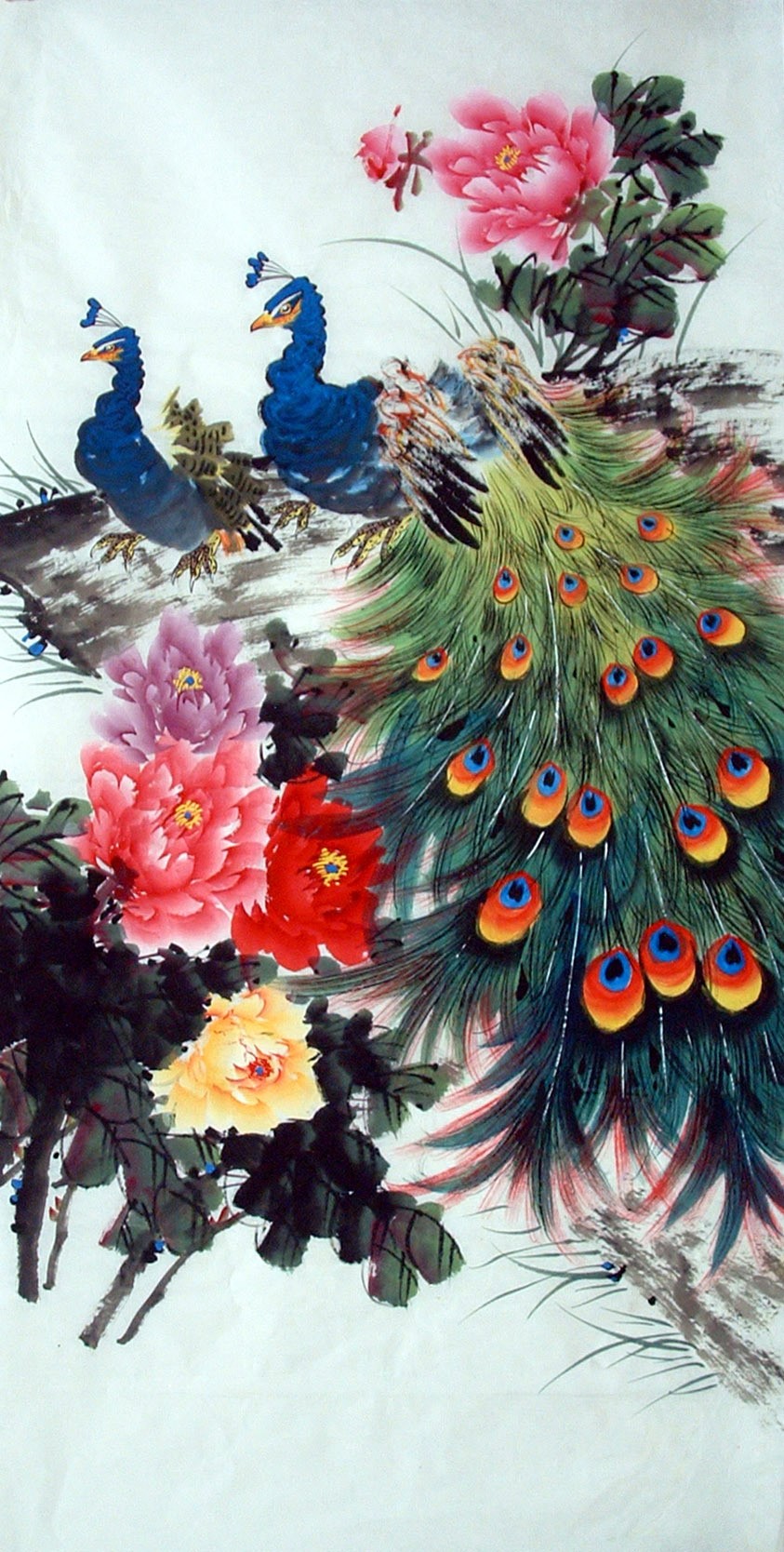 Chinese Peacock Painting - CNAG014712