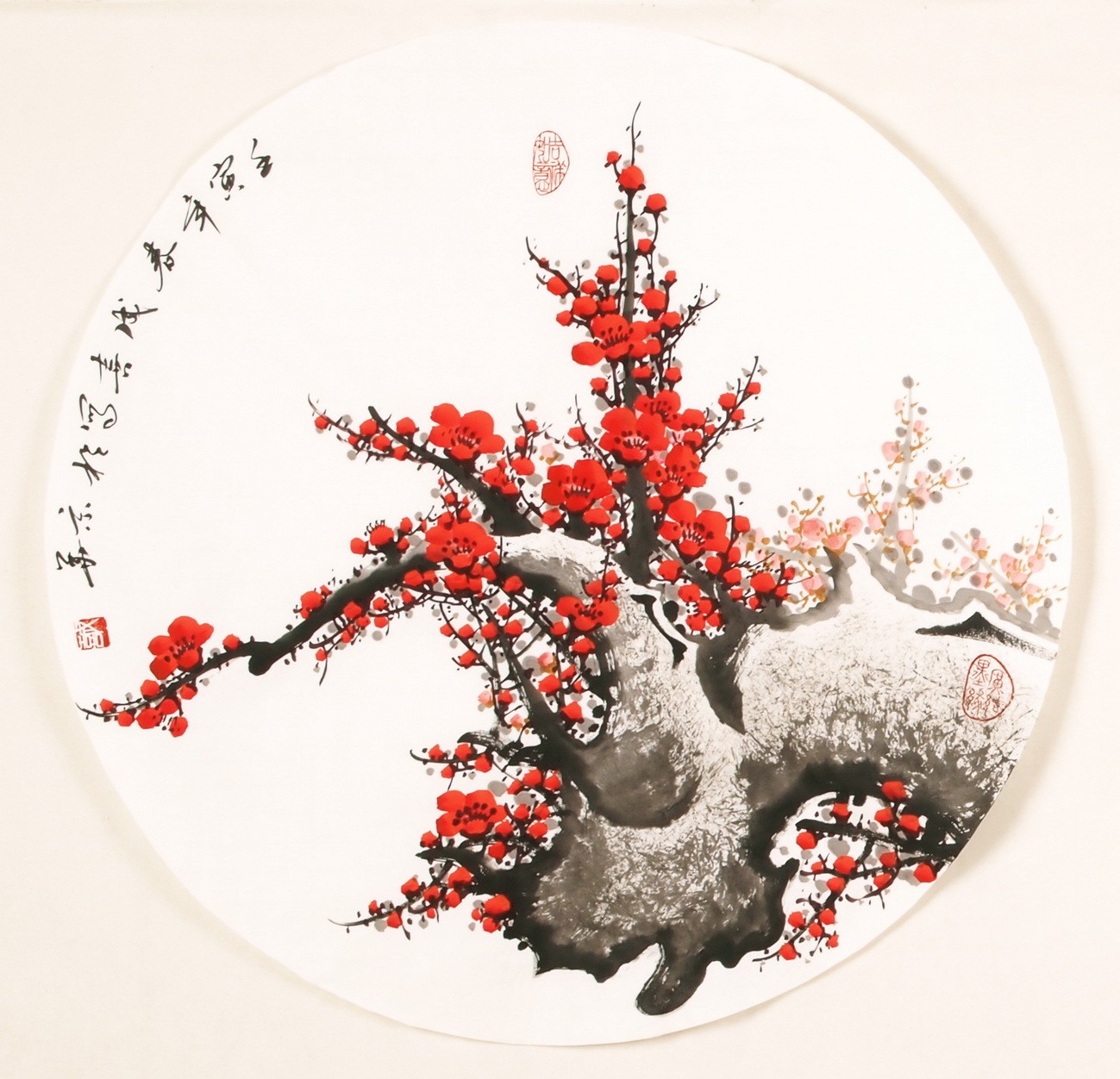 Plum - CNAG001466