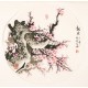 Plum - CNAG001467
