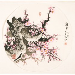 Plum - CNAG001467