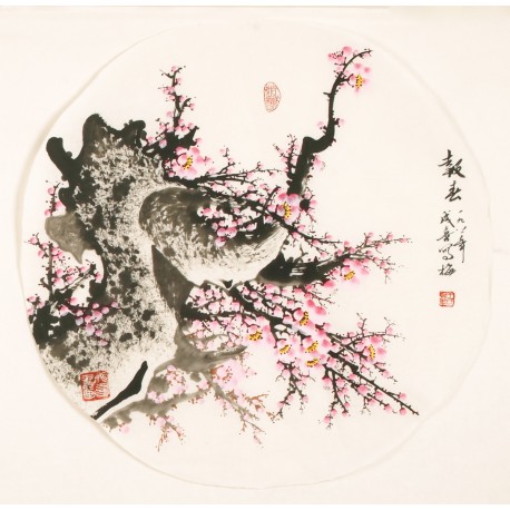 Plum - CNAG001467