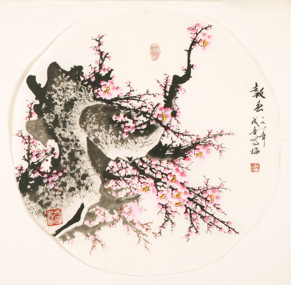 Plum - CNAG001467