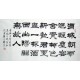 Chinese Calligraphy Painting - CNAG014824