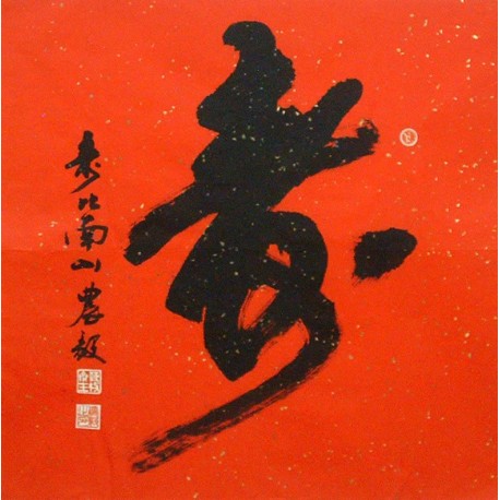 Chinese Calligraphy Painting - CNAG014877