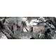 Chinese Landscape Painting - CNAG014888