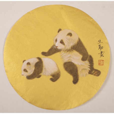Panda - CNAG001479