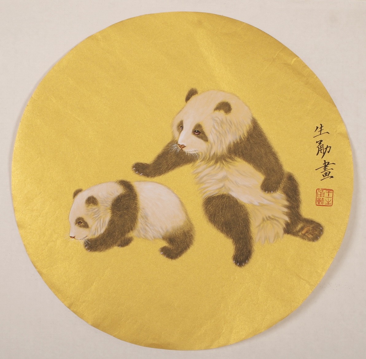 Panda - CNAG001479