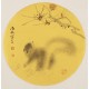 Squirrels - CNAG001480