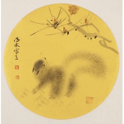 Squirrels - CNAG001480