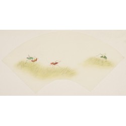 Other Birds - CNAG001488