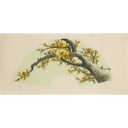 Plum - CNAG001490