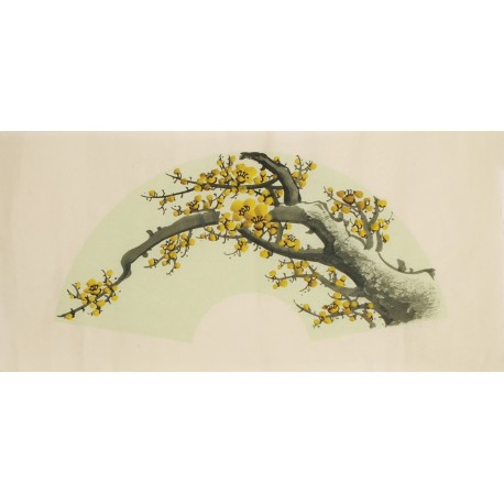 Plum - CNAG001490