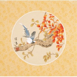 Other Birds - CNAG001494