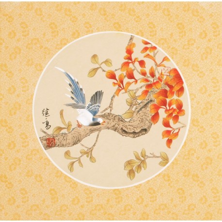 Other Birds - CNAG001494