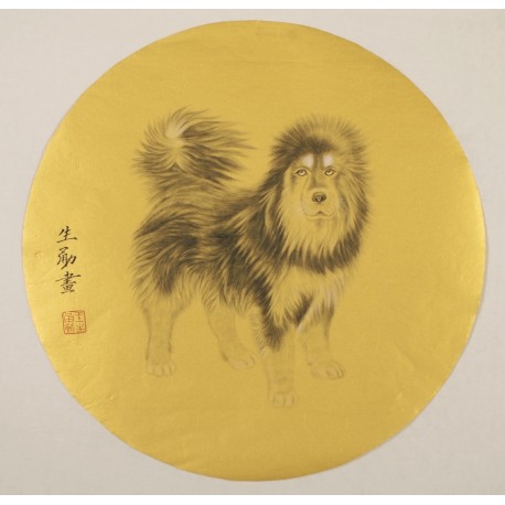 Dog - CNAG001497