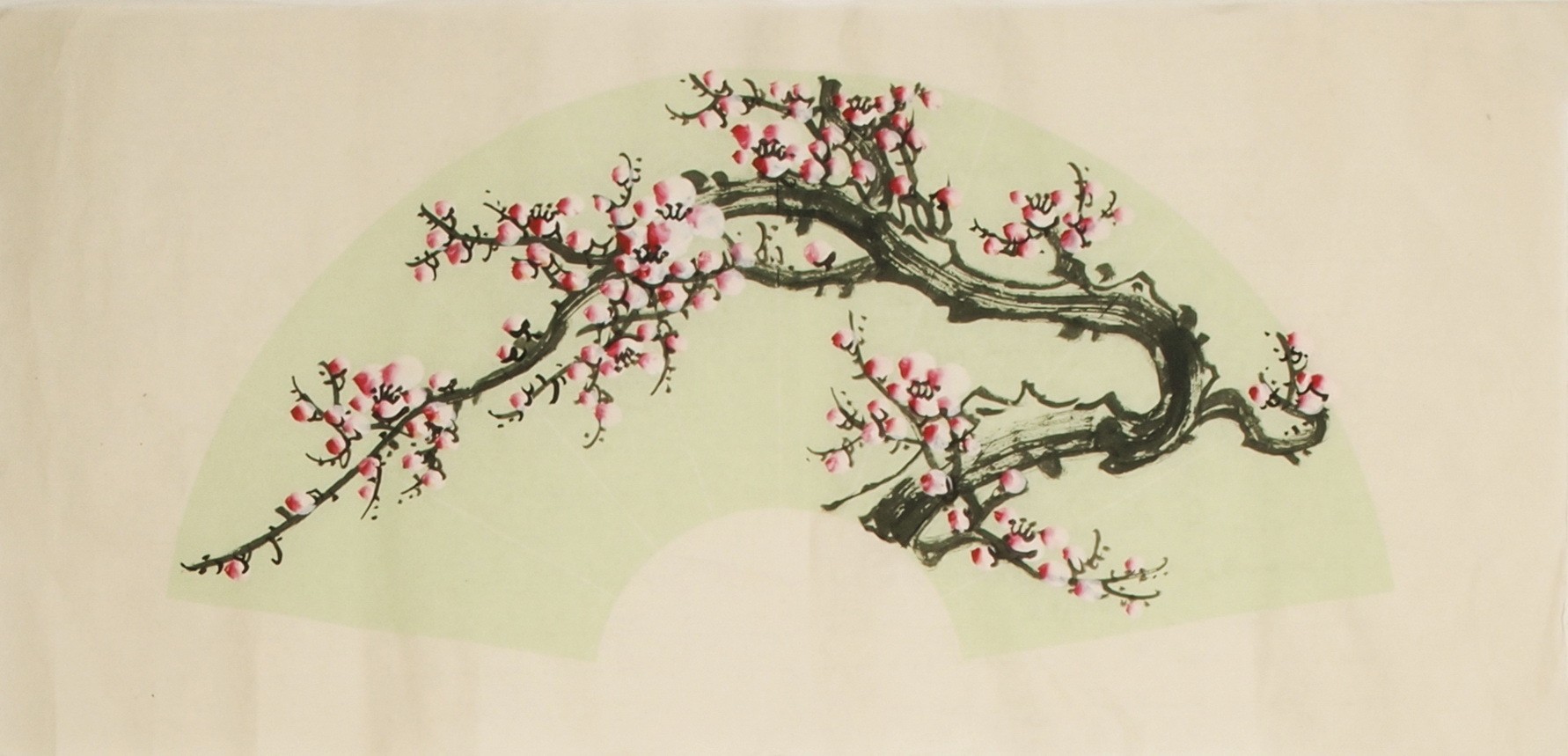 Plum - CNAG001499
