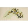 Plum - CNAG001500