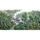 Chinese Landscape Painting - CNAG015132