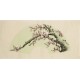 Plum - CNAG001501