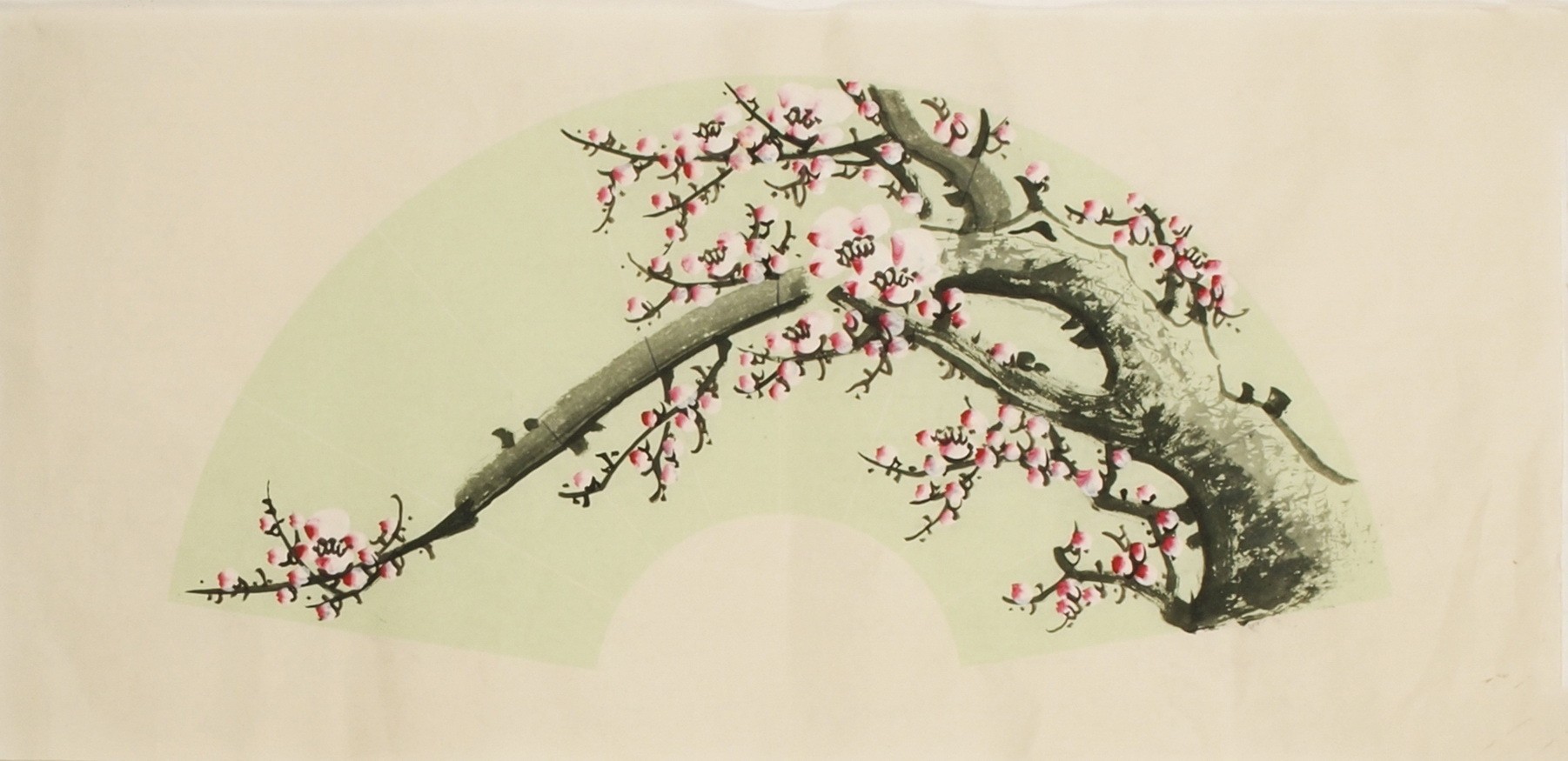 Plum - CNAG001501
