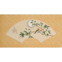 Other Birds - CNAG001505