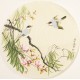 Other Birds - CNAG001507