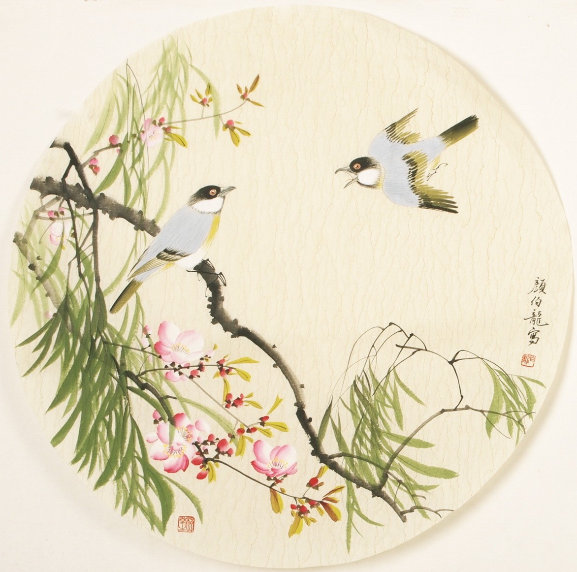 Other Birds - CNAG001507