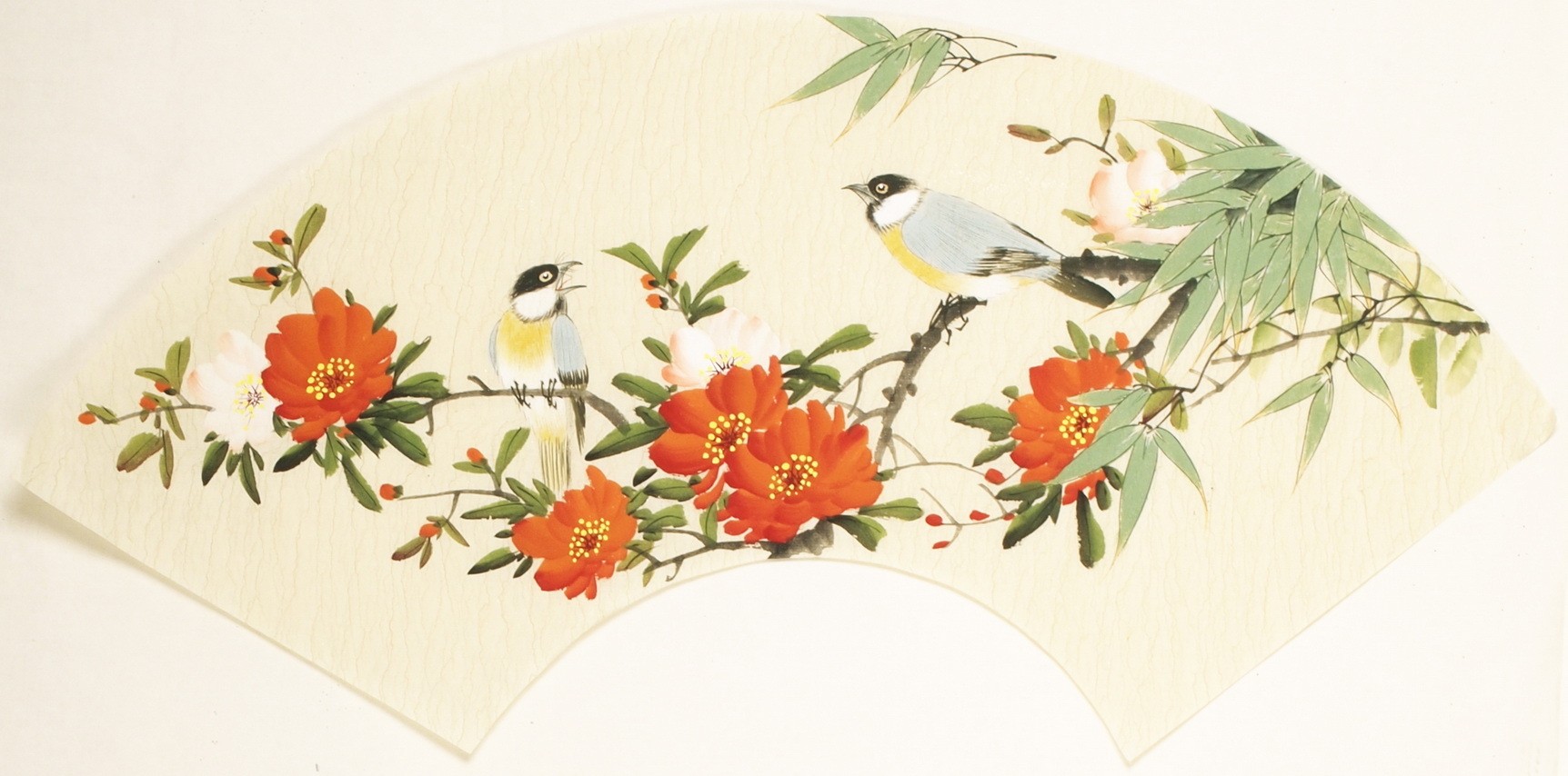 Other Birds - CNAG001511