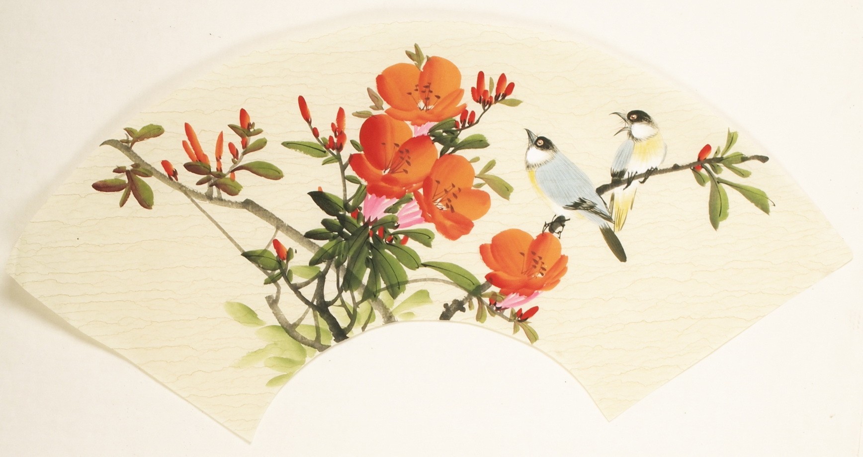 Other Birds - CNAG001512
