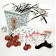 Chinese Flowers&Trees Painting - CNAG015244